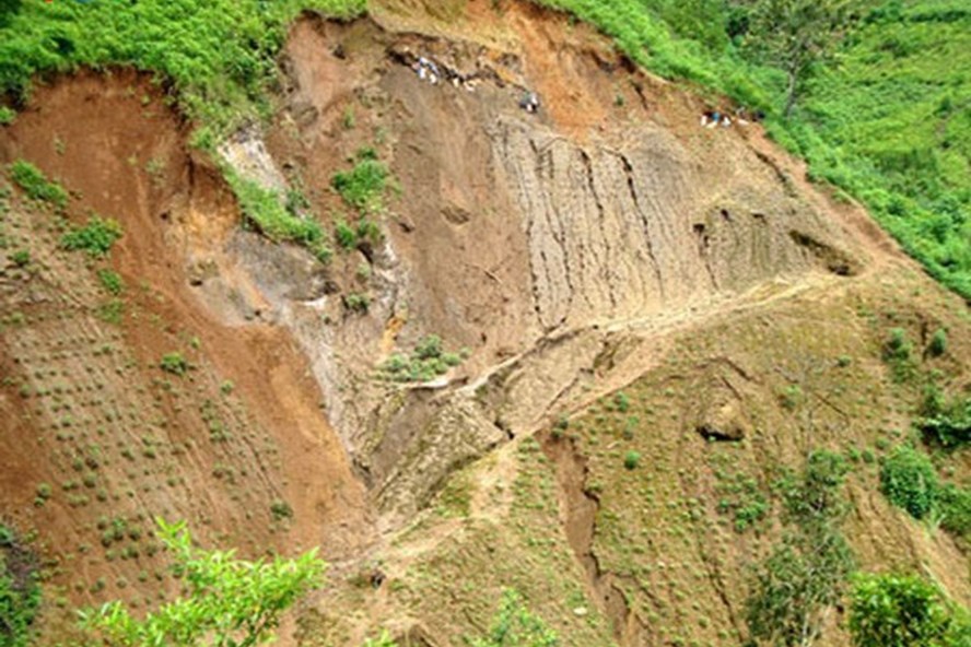 Mỏ đất hiếm tại Việt Nam